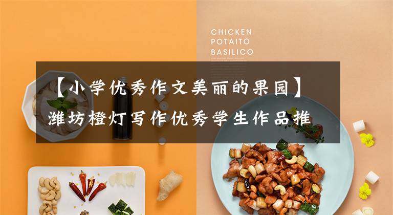 【小学优秀作文美丽的果园】潍坊橙灯写作优秀学生作品推荐:奶奶家果园