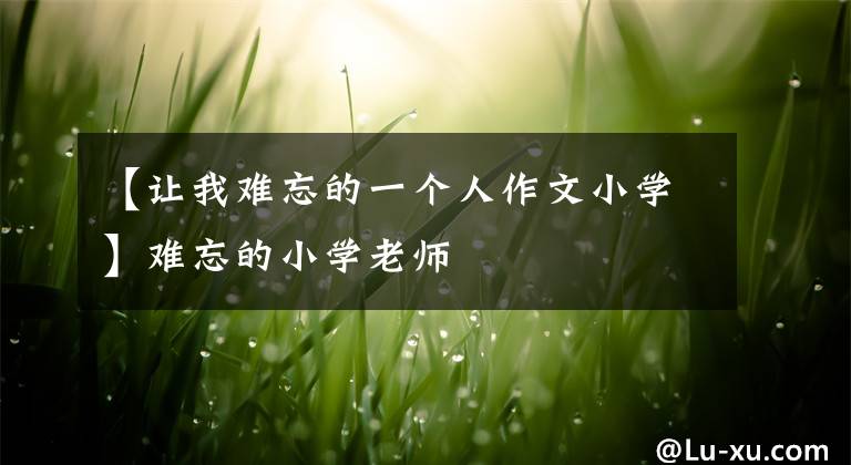 【让我难忘的一个人作文小学】难忘的小学老师