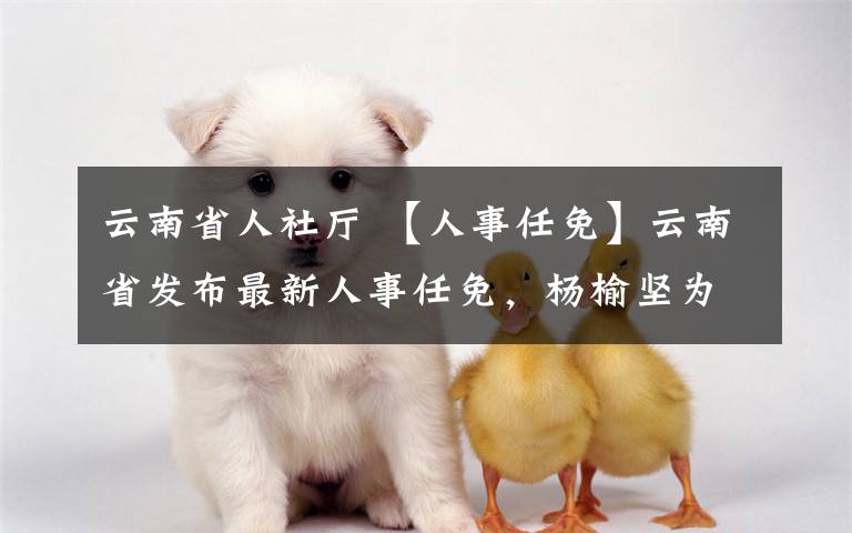 云南省人社厅 【人事任免】云南省发布最新人事任免,杨榆坚为省人社厅厅长