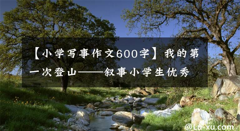 【小学写事作文600字】我的第一次登山——叙事小学生优秀日记周刊第一篇作文600字