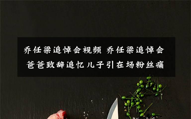 乔任梁追悼会视频 乔任梁追悼会 爸爸致辞追忆儿子引在场粉丝痛哭