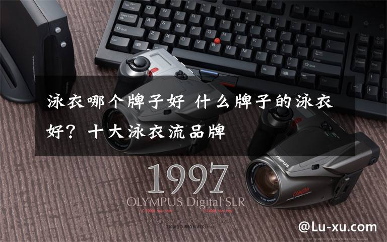 泳衣哪个牌子好 什么牌子的泳衣好?十大泳衣流品牌