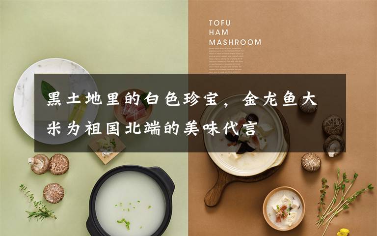 黑土地里的白色珍宝,金龙鱼大米为祖国北端的美味代言