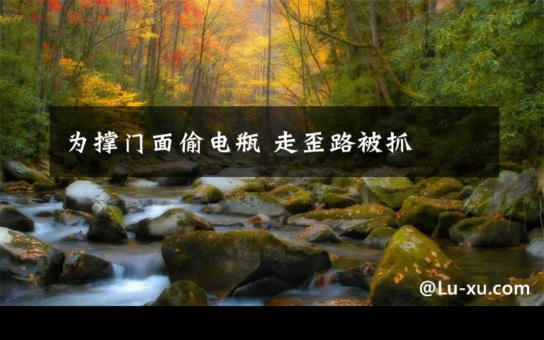 为撑门面偷电瓶 走歪路被抓