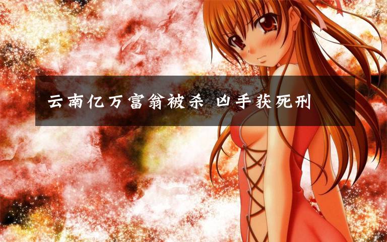 云南亿万富翁被杀 凶手获死刑