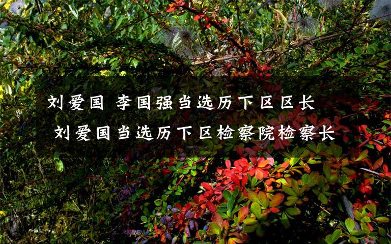 刘爱国 李国强当选历下区区长  刘爱国当选历下区检察院检察长