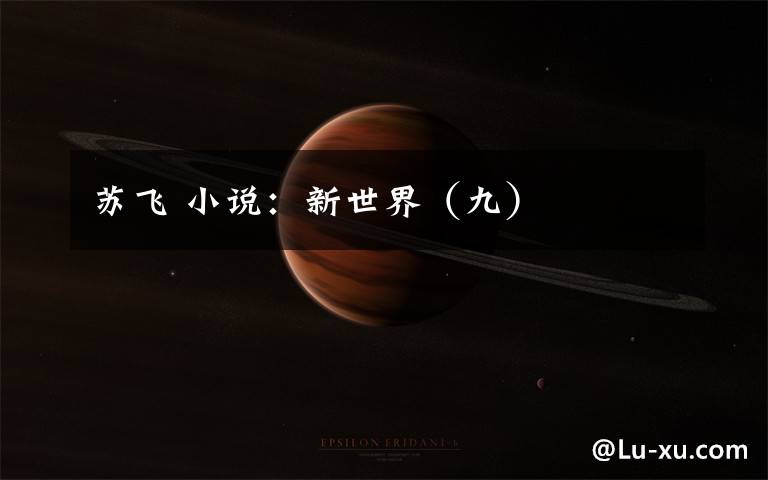 苏飞 小说：新世界（九）