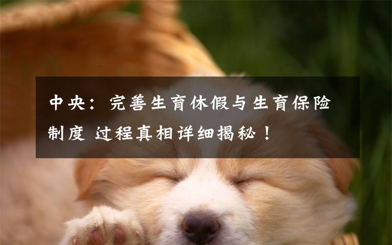 中央：完善生育休假与生育保险制度 过程真相详细揭秘！