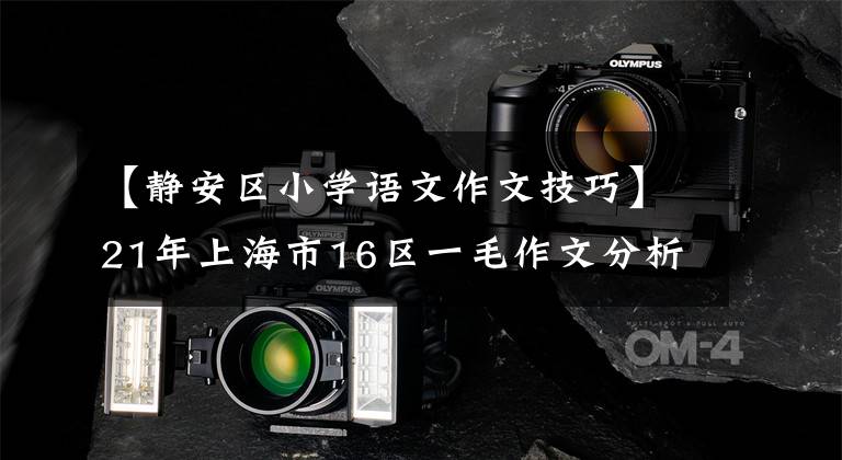 【静安区小学语文作文技巧】21年上海市16区一毛作文分析编辑《收集建议》
