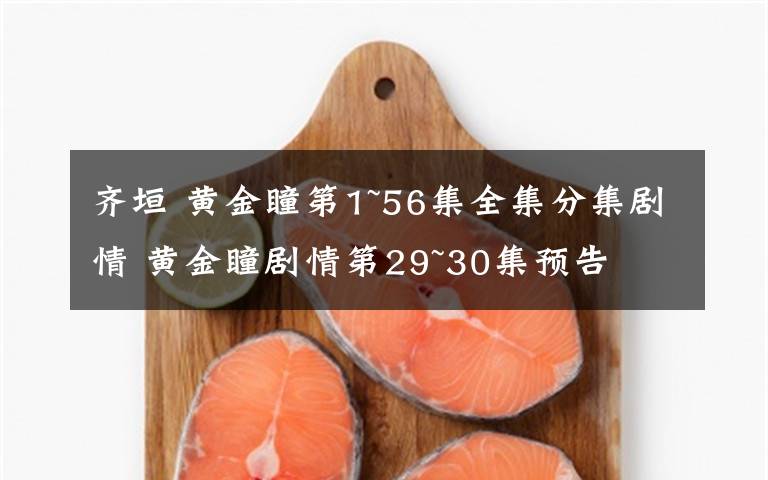 齐垣 黄金瞳第1~56集全集分集剧情 黄金瞳剧情第29~30集预告