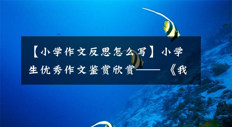 【小学作文反思怎么写】小学生优秀作文鉴赏欣赏—— 《我的反思》作文500字,反思自己的作文