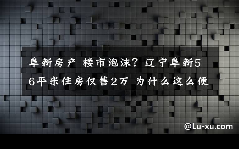 阜新房产 楼市泡沫?辽宁阜新56平米住房仅售2万 为什么这么便宜?