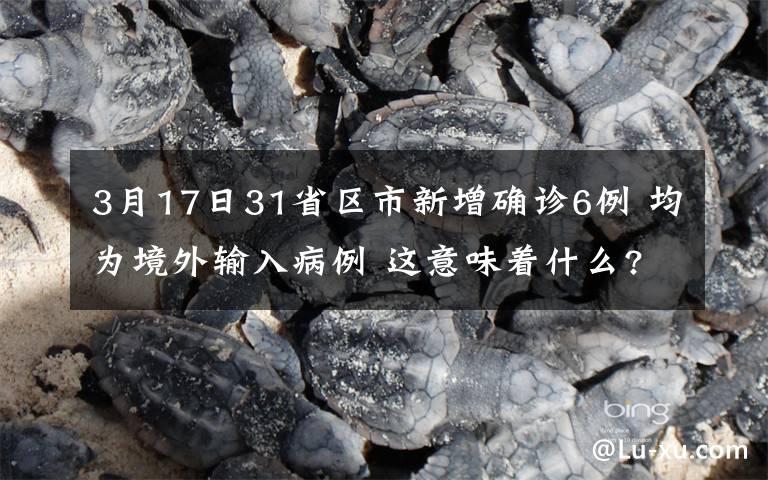 3月17日31省区市新增确诊6例 均为境外输入病例 这意味着什么?