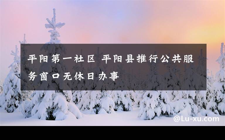 平阳第一社区 平阳县推行公共服务窗口无休日办事