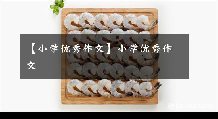 【小学优秀作文】小学优秀作文