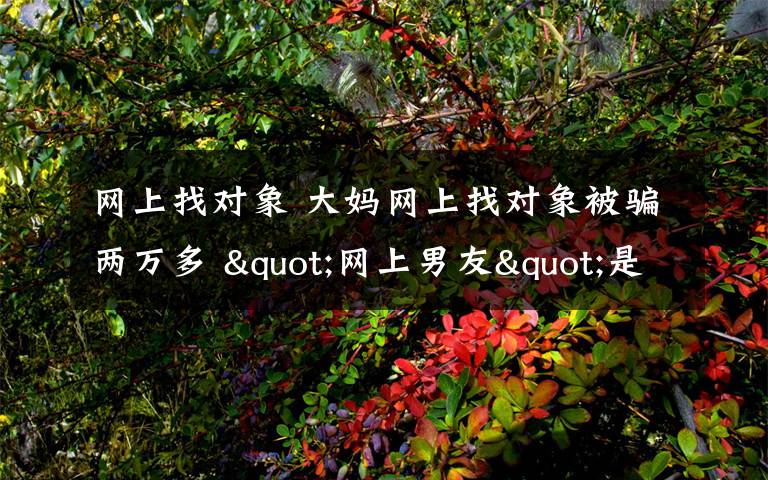 网上找对象 大妈网上找对象被骗两万多 "网上男友"是夫妻俩已行骗20多起