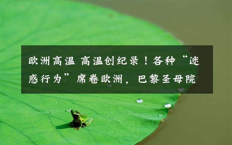 欧洲高温 高温创纪录！各种“迷惑行为”席卷欧洲，巴黎圣母院也要扛不住了