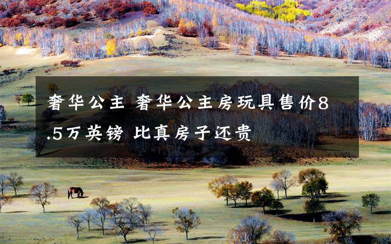奢华公主 奢华公主房玩具售价8.5万英镑 比真房子还贵