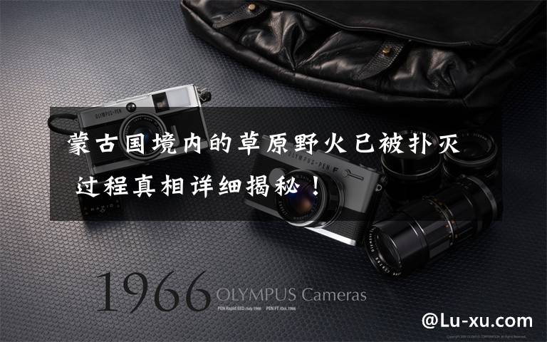 蒙古国境内的草原野火已被扑灭 过程真相详细揭秘!