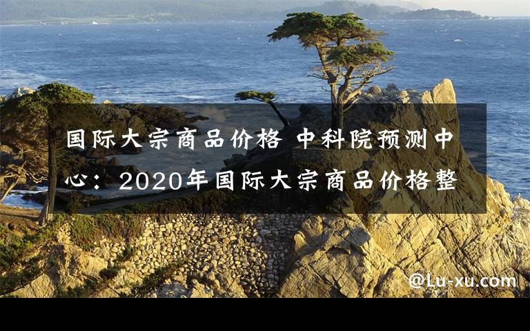 国际大宗商品价格 中科院预测中心:2020年国际大宗商品价格整体平稳