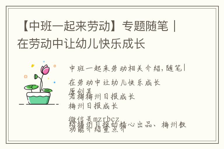 【中班一起来劳动】专题随笔｜在劳动中让幼儿快乐成长