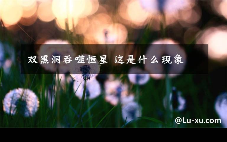 双黑洞吞噬恒星 这是什么现象
