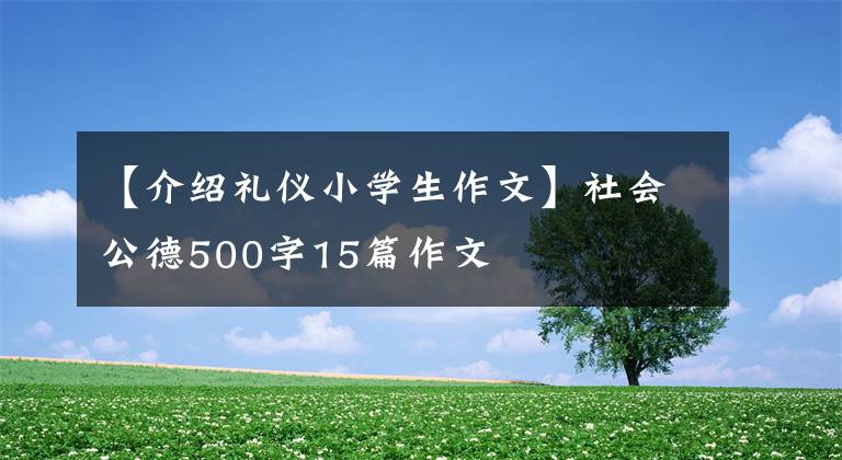 【介绍礼仪小学生作文】社会公德500字15篇作文