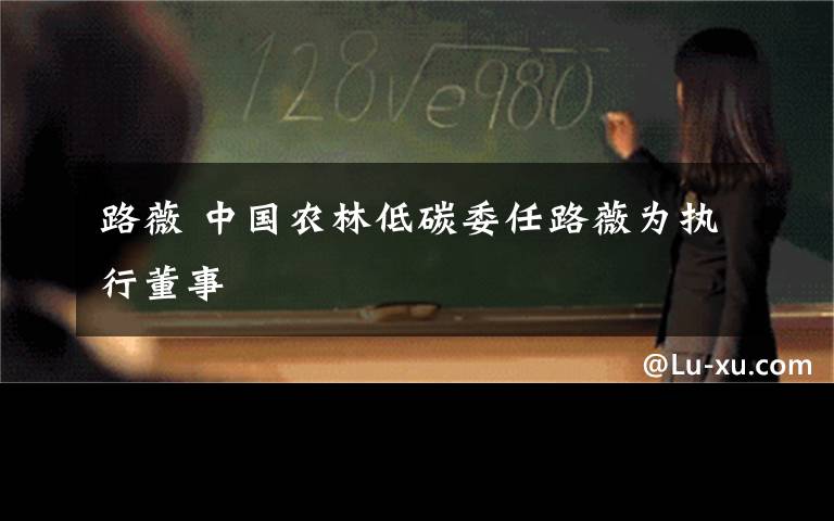 路薇 中国农林低碳委任路薇为执行董事