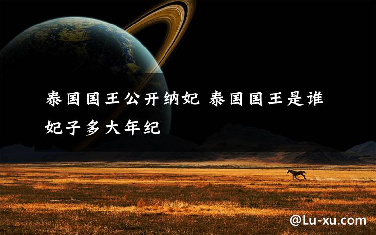 泰国国王公开纳妃 泰国国王是谁妃子多大年纪