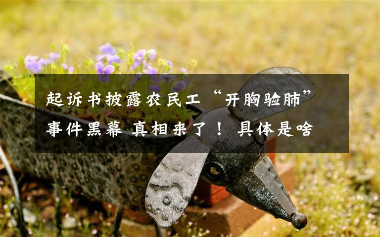 起诉书披露农民工“开胸验肺”事件黑幕 真相来了! 具体是啥情况?