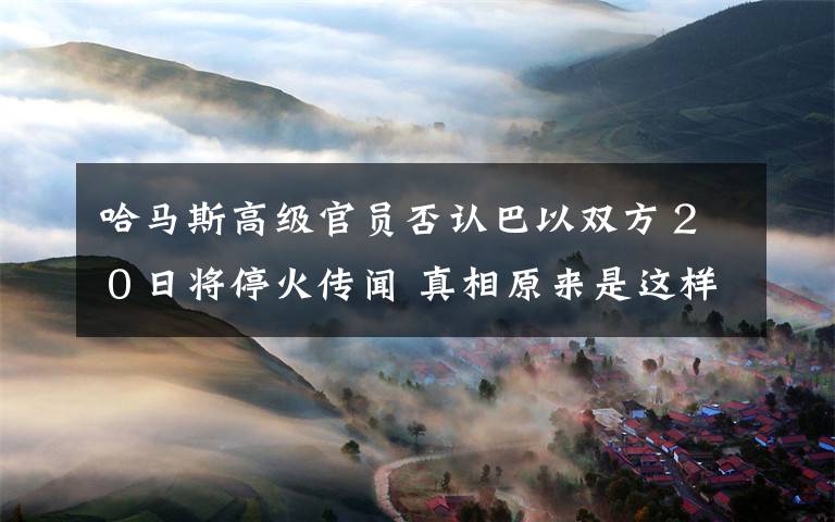 哈马斯高级官员否认巴以双方２０日将停火传闻 真相原来是这样！