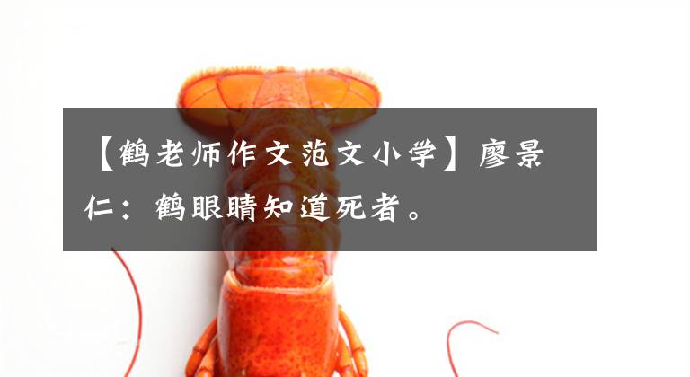 【鹤老师作文范文小学】廖景仁:鹤眼睛知道死者。