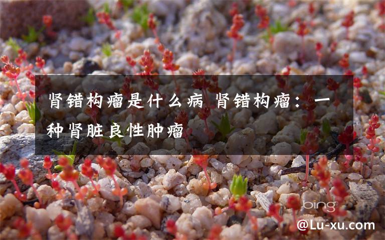 肾错构瘤是什么病 肾错构瘤:一种肾脏良性肿瘤