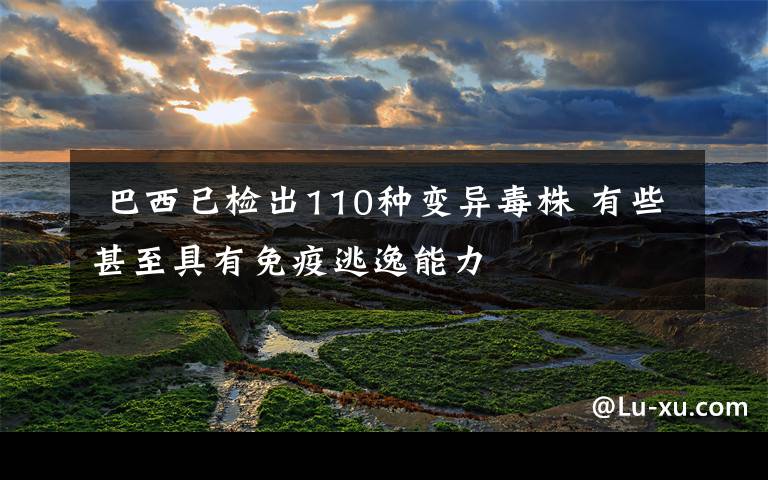 巴西已检出110种变异毒株 有些甚至具有免疫逃逸能力