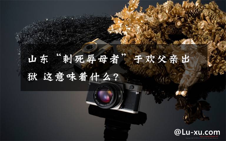 山东“刺死辱母者”于欢父亲出狱 这意味着什么?