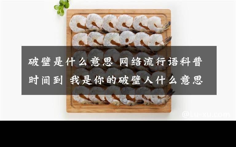 破壁是什么意思 网络流行语科普时间到 我是你的破壁人什么意思什么梗?
