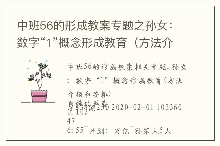 中班56的形成教案专题之孙女：数字“1”概念形成教育（方法介绍与布置）