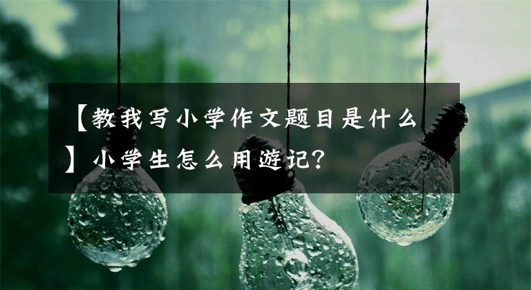 【教我写小学作文题目是什么】小学生怎么用游记？