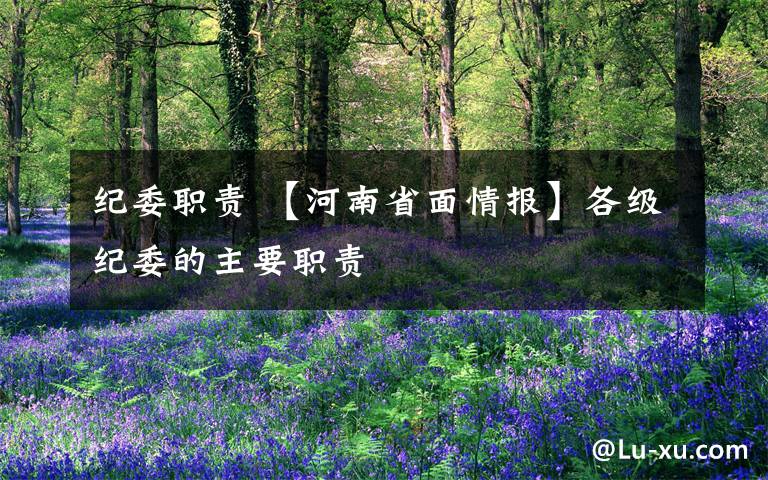 纪委职责 【河南省面情报】各级纪委的主要职责