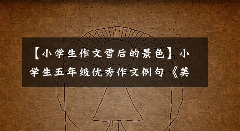 【小学生作文雪后的景色】小学生五年级优秀作文例句《美妙的雪景》雪景描写作文