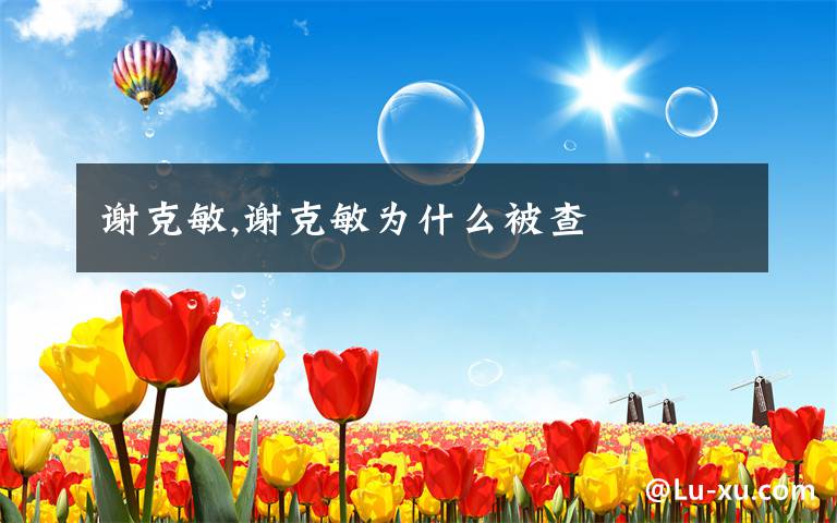 谢克敏,谢克敏为什么被查