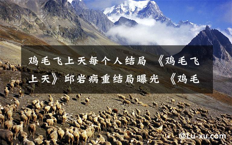 鸡毛飞上天每个人结局 《鸡毛飞上天》邱岩病重结局曝光 《鸡毛飞上天》分集剧情介绍