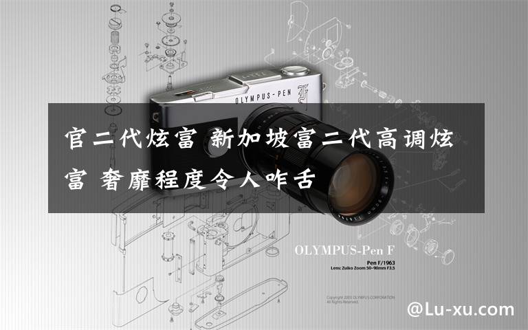 官二代炫富 新加坡富二代高调炫富 奢靡程度令人咋舌