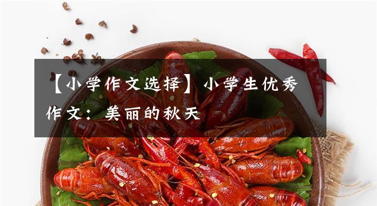 【小学作文选择】小学生优秀作文:美丽的秋天