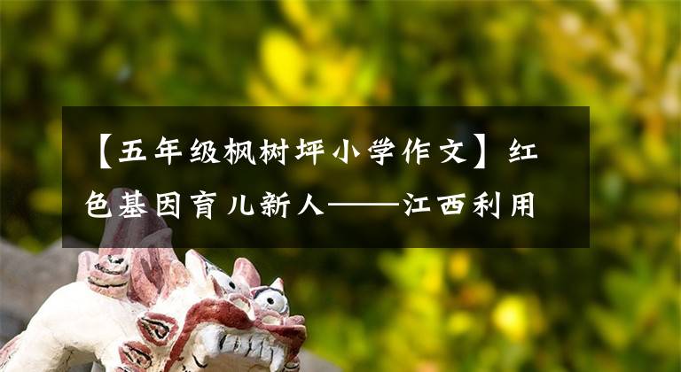 【五年级枫树坪小学作文】红色基因育儿新人——江西利用革命文化资源推进李德洙人的探索。