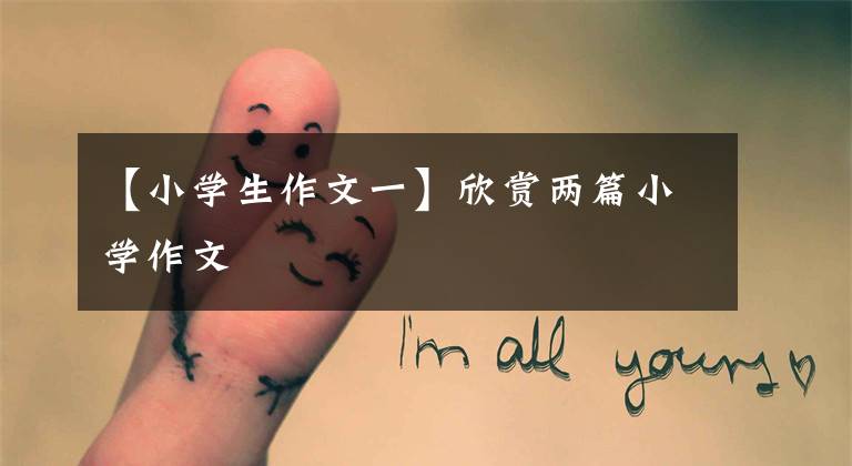【小学生作文一】欣赏两篇小学作文