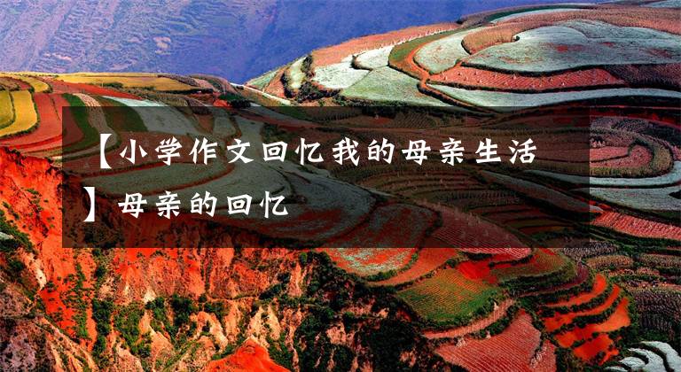 【小学作文回忆我的母亲生活】母亲的回忆