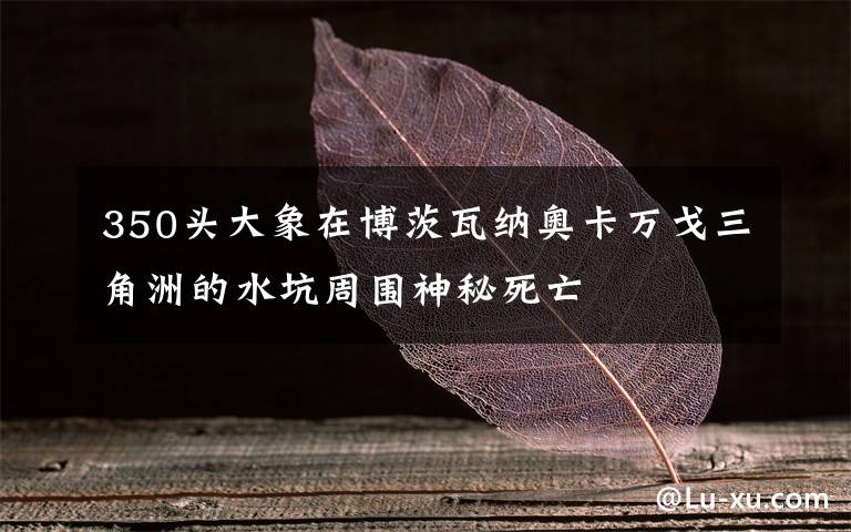 350头大象在博茨瓦纳奥卡万戈三角洲的水坑周围神秘死亡