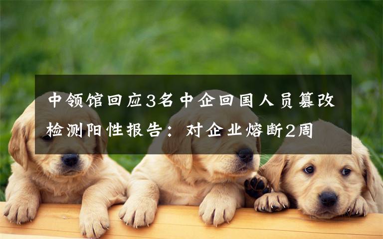 中领馆回应3名中企回国人员篡改检测阳性报告:对企业熔断2周 真相到底是怎样的?