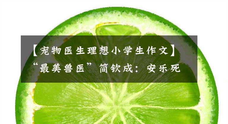 【宠物医生理想小学生作文】“最美兽医”简钦成:安乐死700多只流浪动物,最后一针留给自己。